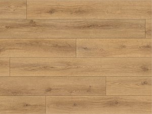 Paradigm Conquest Catapult 9 x 72